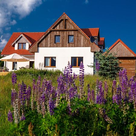 Przystanek Lasowka Bed & Breakfast Dış mekan fotoğraf