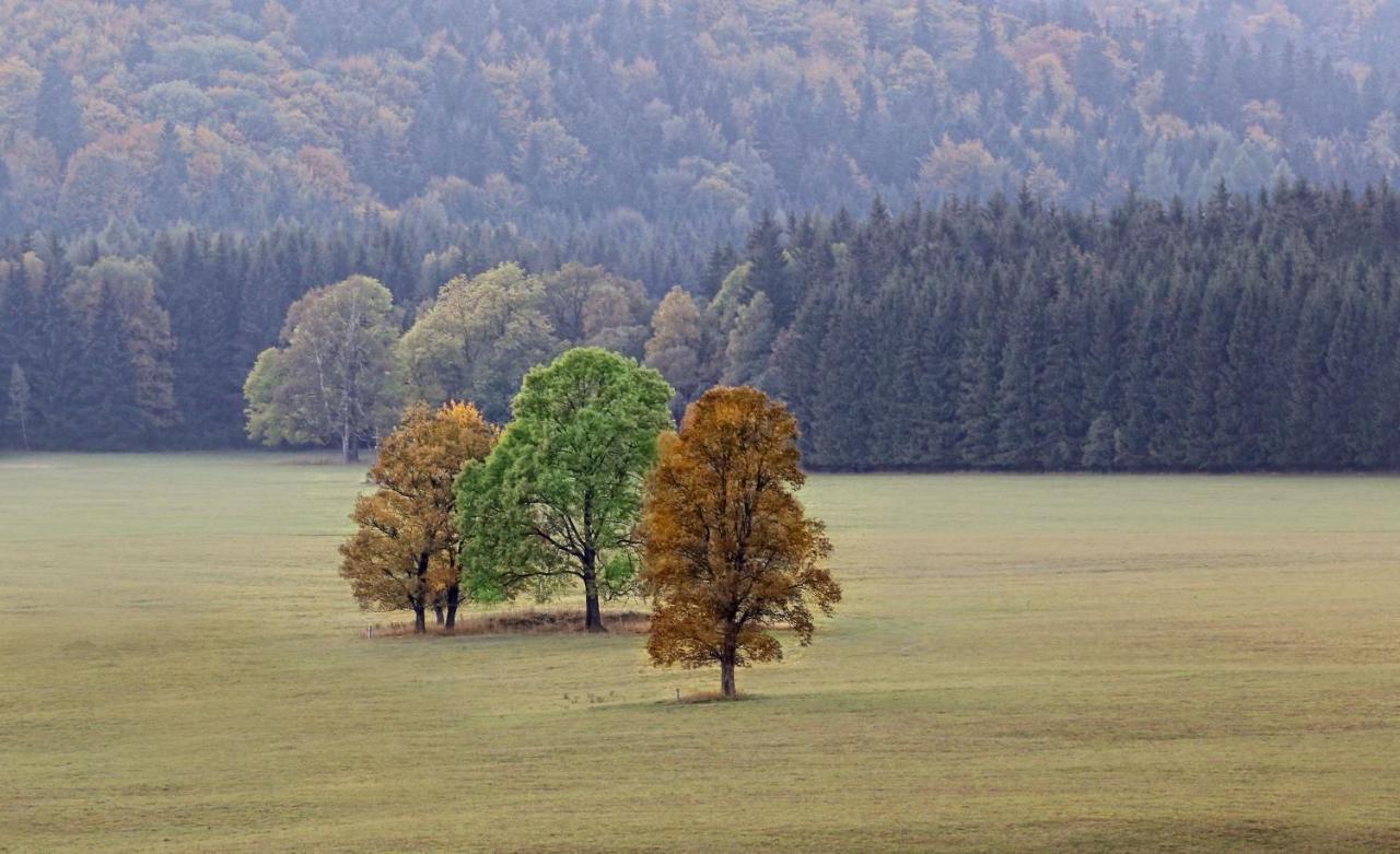 Przystanek Lasowka Bed & Breakfast Dış mekan fotoğraf