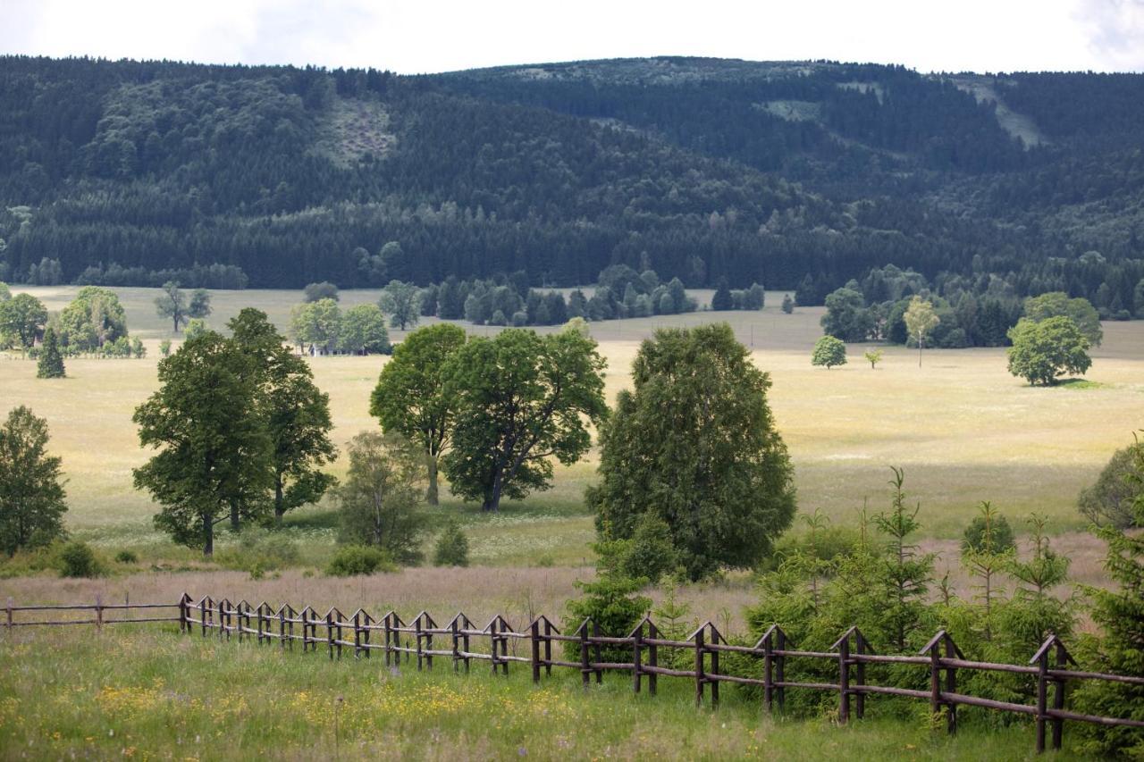 Przystanek Lasowka Bed & Breakfast Dış mekan fotoğraf