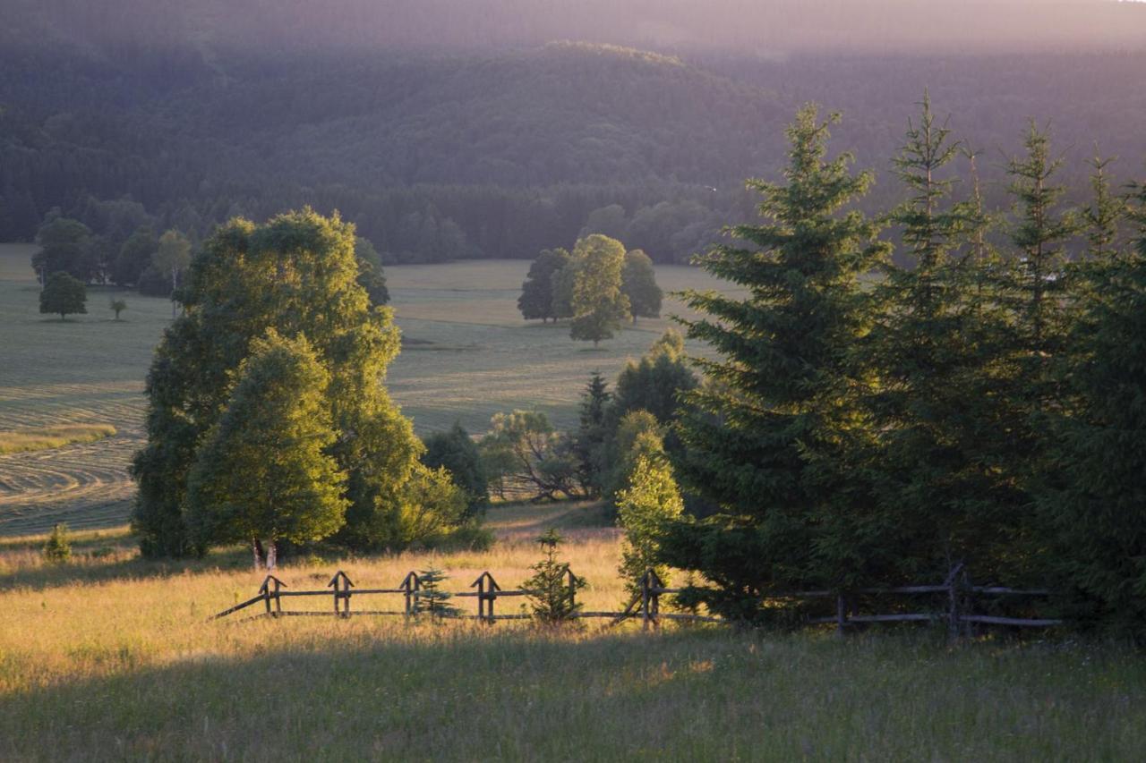 Przystanek Lasowka Bed & Breakfast Dış mekan fotoğraf