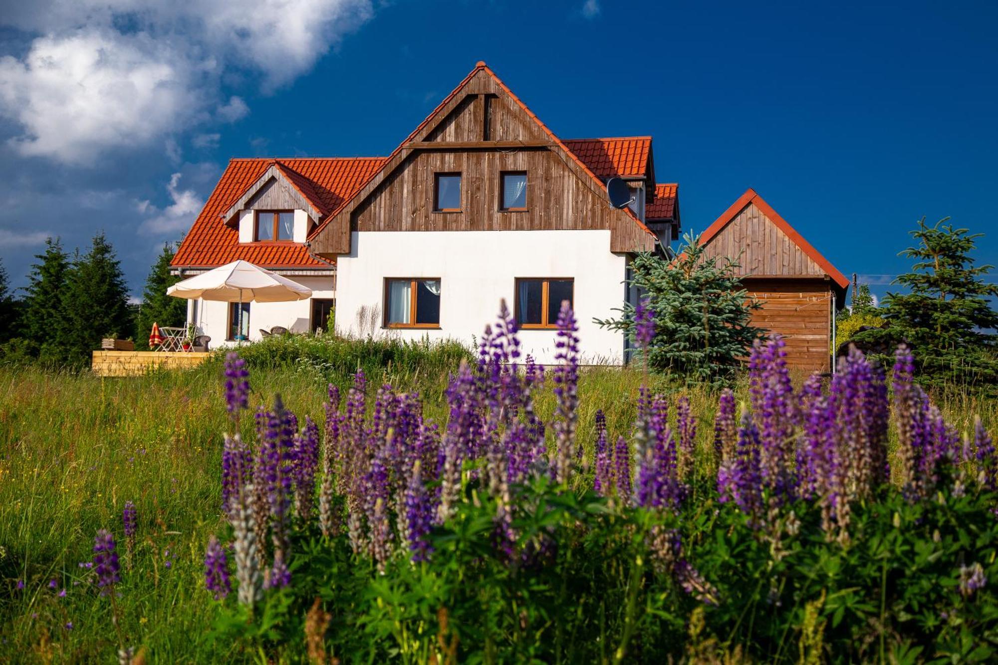 Przystanek Lasowka Bed & Breakfast Dış mekan fotoğraf